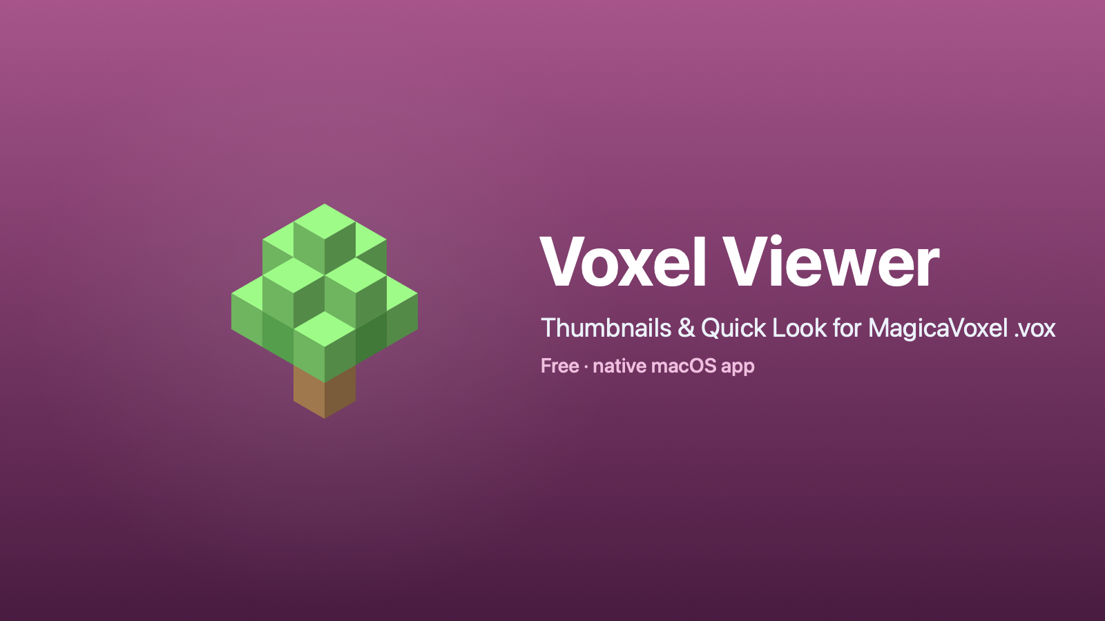 Voxel Viewer